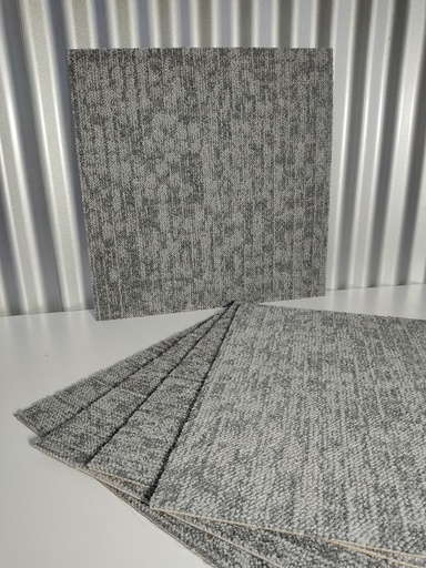[1.3.229-001] Dalle moquette gris clair